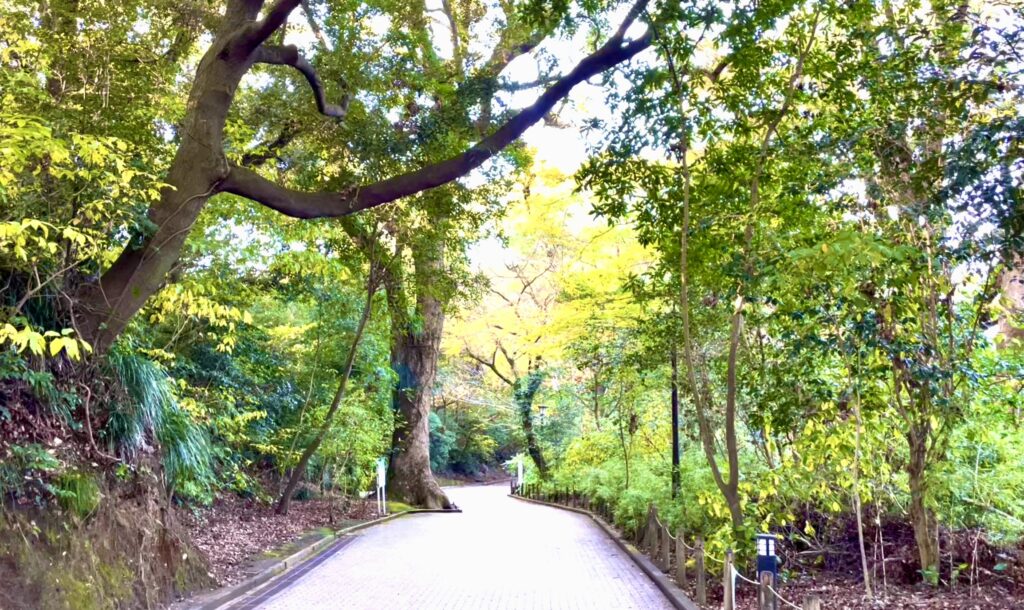 おすすめ観光スポット　城山公園